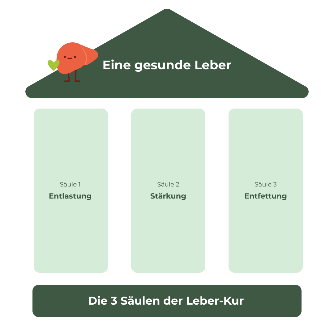 Grafische Darstellung der 3 Säulen der Leber-Kur: Entlastung, Stärkung und Entfettung