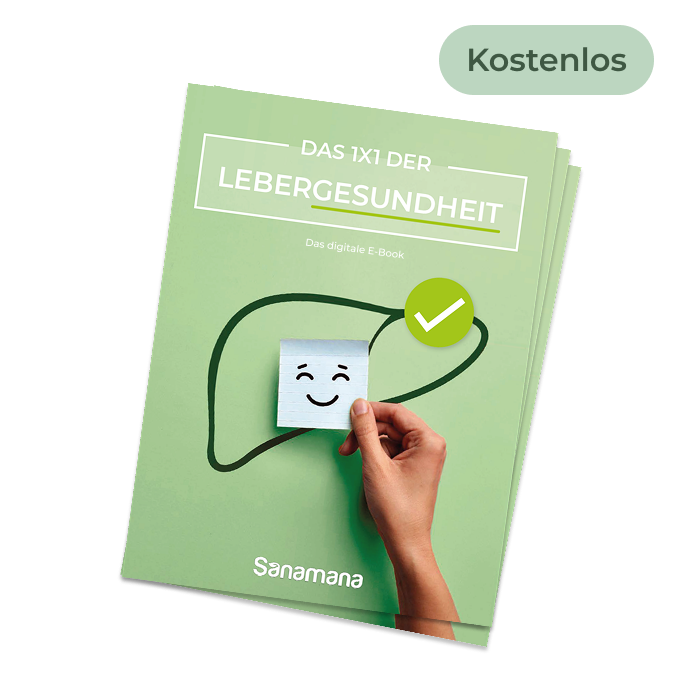 Kostenloses E-Book: 1x1 der Lebergesundheit zum Download
